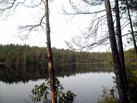 озера в Литве
